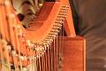 20110702-1200 AltRH_Magic Harps_D-F1035-IMGA8317-5